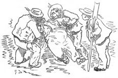 Sailors